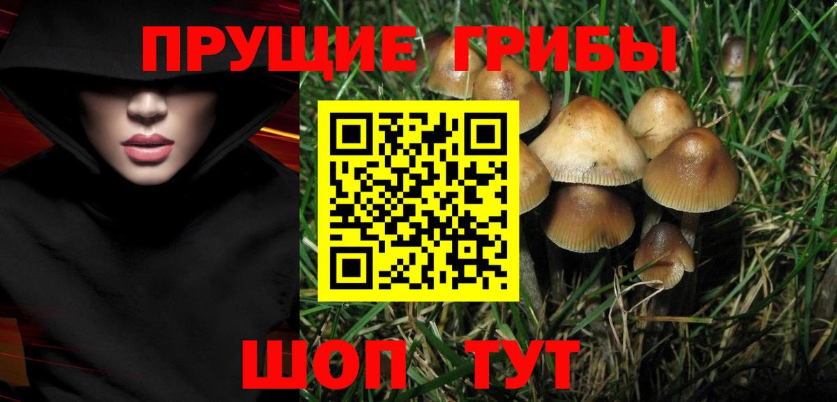 Надым  Псилоцибиновые грибы ЛСД  Вход с VPN 