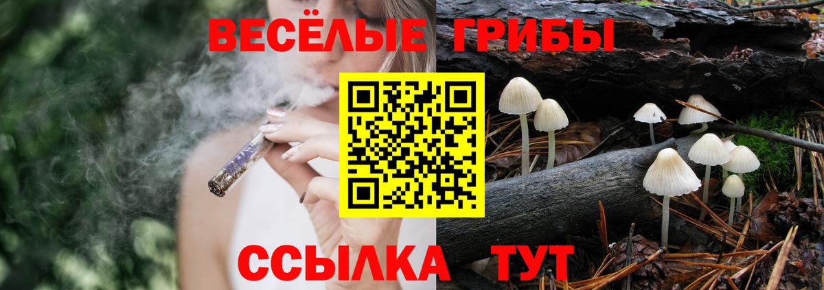 Псилоцибиновые грибы ЛСД Надым